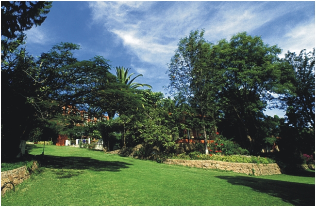 Hotel Victoria Oaxaca 7.Jardin